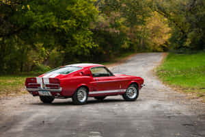 Classic Red Shelby G T500on Rural Road Wallpaper