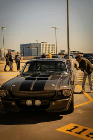 Classic Shelby G T500at Car Show Wallpaper