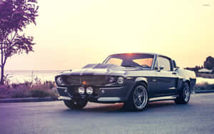 Classic Shelby G T500at Sunset Wallpaper