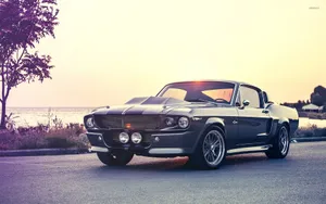 Classic Shelby G T500at Sunset Wallpaper