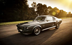 Classic Shelby G T500in Motion Wallpaper