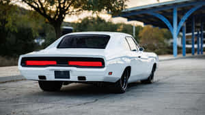 Classic White Muscle Car Rear View Wallpaper