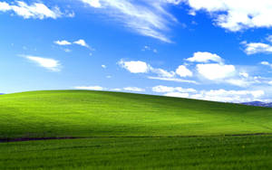 Classic Windows 98 Desktop Wallpaper