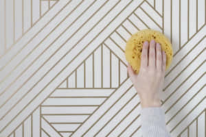 Cleaning Geometric Background Sponge Wallpaper