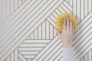 Cleaning Geometric Background Sponge Wallpaper