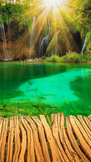 Clear Green Lake Natural Background Wallpaper