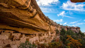 Cliff Palace Mesa Verde National Park Blue Sky Wallpaper