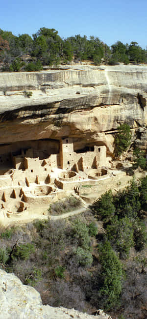 Cliff Palace Tan Color Mesa Verde National Park Wallpaper