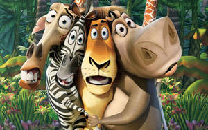 Close Madagascar Faces Wallpaper