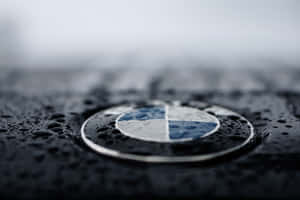 Close Up B M W Logo Rain Drops Wallpaper