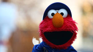 Close-up Happy Elmo Wallpaper