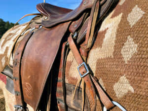 Close Up Leather Horse Saddle Wallpaper