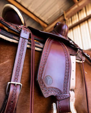 Close Up Leather Saddleon Horse Wallpaper