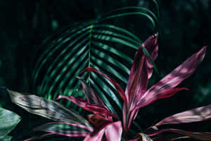 Close-up Of Lush, Tropical Leaves In Vibrant Hues Of Green Wallpaper