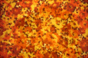 Close-up Of Luxurious Carpet Texture Wallpaper