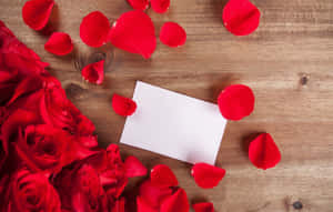 Close-up Of Vibrant Rose Petal Wallpaper