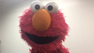 Close-up Puppet Elmo Wallpaper