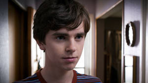 Close-up Serious Freddie Highmore Wallpaper