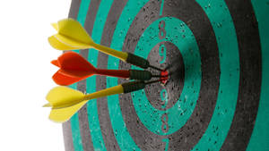 Close Up Shooting Target Board Wallpaper