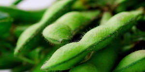 Close-up Shot Of Edamame Beans Wallpaper