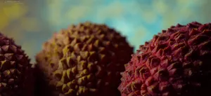 Close Up Shot Of Ripe Pulasan Fruits Wallpaper