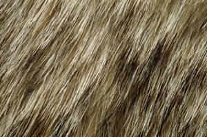 Close-up View Of Animal Fur Texture Wallpaper