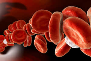 Close-up View Of Red Blood Cells In The Human Body Wallpaper