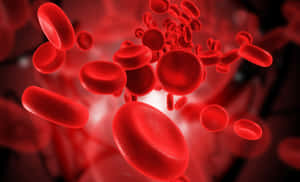 Close-up View Of Red Blood Cells In The Human Body Wallpaper