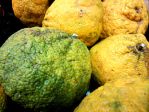 Close-up View Of Ripe Green And Yellow Ugli Fruit Wallpaper