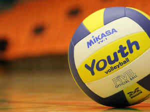 Close Up Volleyballon Court Wallpaper