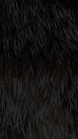 Closeup Black Faux Fur Texture Wallpaper