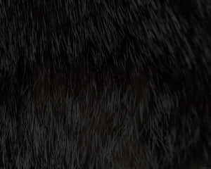 Closeup Black Textured Hair Wallpaper