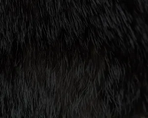 Closeup Black Textured Hair Wallpaper