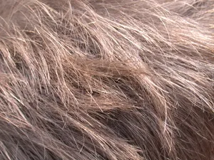 Closeup Brown Textured Hair Wallpaper