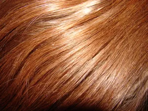 Closeup Brown Textured Hair Wallpaper
