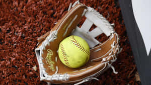 Closeup Image Of Baseball Gloves Wallpaper