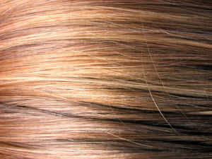 Closeup Textured Brown Hair Wallpaper