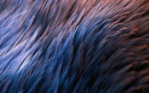 Closeup Textured Hair Flowing Wallpaper