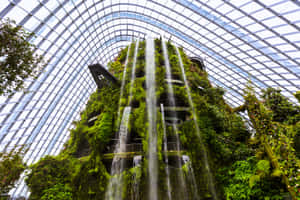 Cloud Forest Waterfall Gardens By The Bay Wallpaper