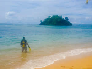 Cloudy Day In Apia Beach Wallpaper