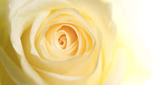 Cloudy Day In The Mountains Wallpaper