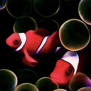 Clownfish In The Dark Wallpaper