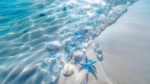 Coastal Beach With Starfish Wallpaper
