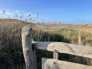 Coastal Dunes Hoorn Landscape Wallpaper