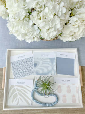 Coastal Inspired Stationeryand Decor Wallpaper