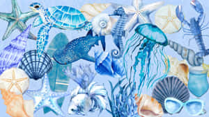 Coastal Marine Life Collection Wallpaper