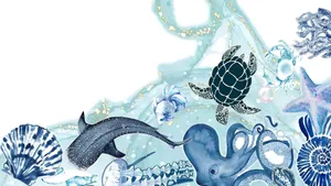 Coastal Marine Life Illustration Wallpaper