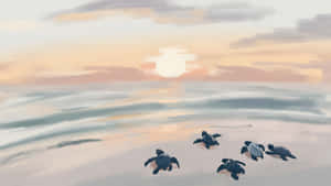 Coastal Sea Turtles At Sunset Wallpaper