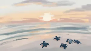 Coastal Sea Turtles At Sunset Wallpaper