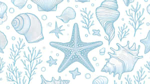 Coastal Seashell And Starfish Pattern Wallpaper